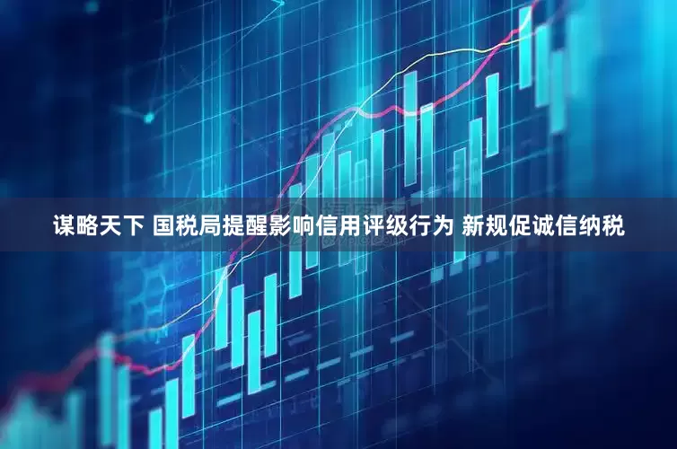 谋略天下 国税局提醒影响信用评级行为 新规促诚信纳税