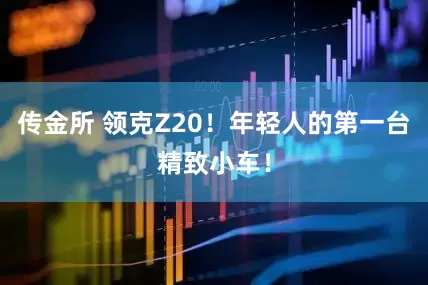 传金所 领克Z20！年轻人的第一台精致小车！