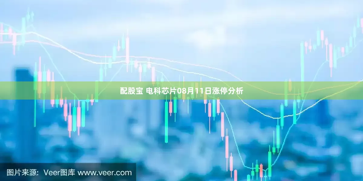 配股宝 电科芯片08月11日涨停分析