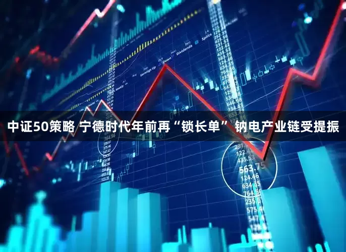 中证50策略 宁德时代年前再“锁长单” 钠电产业链受提振