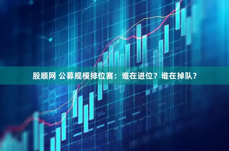 股顺网 公募规模排位赛：谁在进位？谁在掉队？